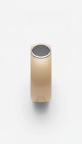 Champagne Sand Minimalist Smart Cuff